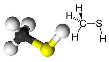 Study of the market of serialganic compounds (Mercaptans)