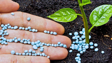 Research of Russian consumers of water -soluble and nitrogen fertilizers