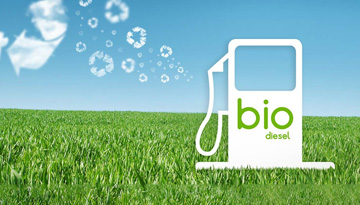 Study of the European Biodiesel market in Europe