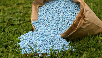 Review of investments in the chemical industry, including the production of mineral fertilizers