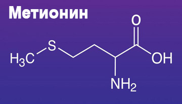 Study of the global methionine market