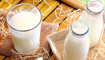 Study of the Russian market of milk and dairy products in the Southern Federal District and the North Civil Code