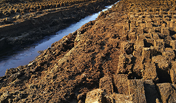 Pre -investment study of the agricultural peat market