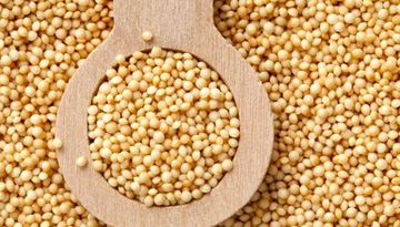 Study of the market for processing products of grain-amaranth and gluten-free products