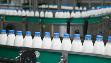 Study of the market of deep milk processing products