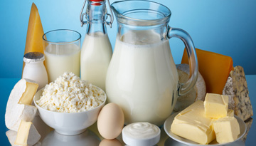 Research of the Russian dairy market market