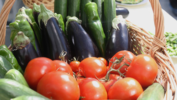 Study of the market of closed soil vegetables (cucumbers and tomatoes) and the development of a competitive strategy of the company