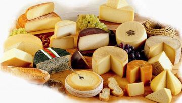 Pre -investment research of the cheese market