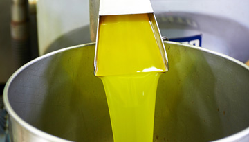 Study of the global market for processing products of vegetable oils