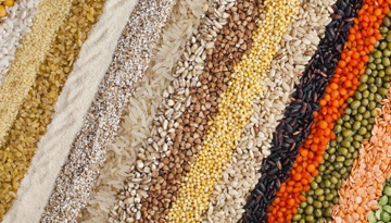 Provision of services for monitoring the price situation in the grain market