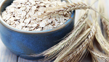 Study of oatmeal manufacturers