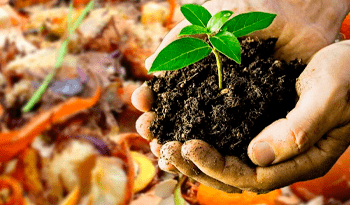 The marketing part of the business plan for organic waste to target projects