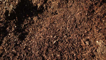 Studies of the market of peat soils of the Republic of Kazakhstan