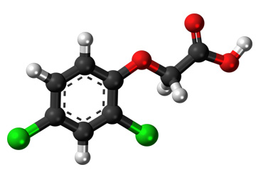 Marketing research of the market of 2,4 D-acid and glyphosate in the Russian Federation.