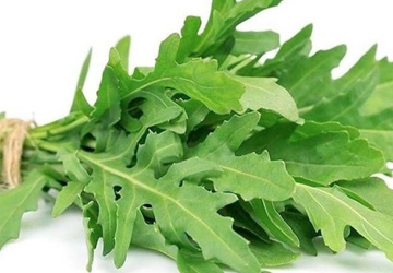 Marketing research of the arugula market