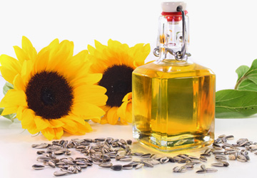 Marketing research of vegetable oil market in Russia and Ukraine
