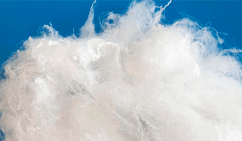 Search for manufacturers and suppliers of polylactide fibers in Russia or in non-sanctioned (friendly) countries