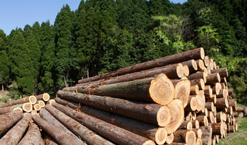 Research of the Russian market of energy carriers, softwood timber and waste paper
