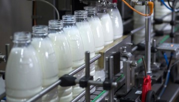 Research of key milk producers in Russia